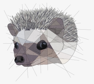 Geometric Hedgehog @poppy-hedgie $20 Geometric Commissions - T-shirt