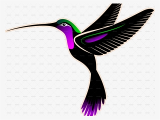 Drawn Hummingbird Png Transparent - Batik .png