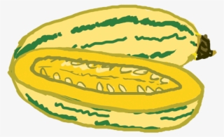 760 X 501 3 - Zucchini