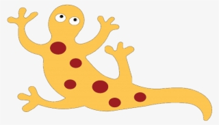 Salamander - House Gecko