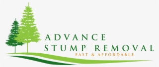 Advance Stump Removal - Christmas Tree