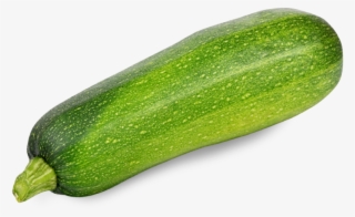 Zucchini