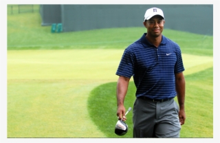 Tiger Woods - Famous Player Of Golf