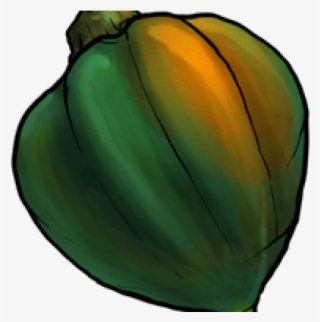 Zucchini Clipart Gourd - Acorn Squash