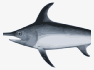 Swordfish - Xiphias Png - 960x437 PNG Download - PNGkit