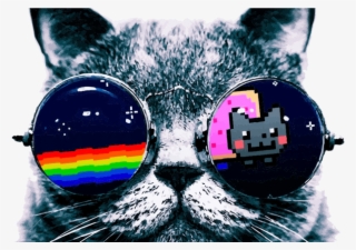 Nyan Cat Wearing Sunglasses Coloring Page Sunglasses - 2048 Pixels Wide And 1152 Pixels Tall Cool