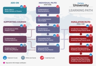 What Course Should I Take - Carnaval Porto Seguro 2012