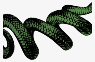 Viper Clipart Snake Venom - Black And White Snake Png