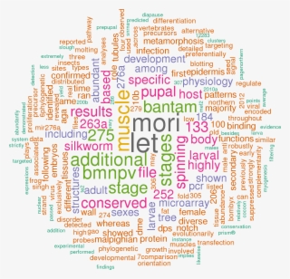 Stem Loop Sequence Bmo Mir 1b - ツイッター 視覚 化 ワード クラウド