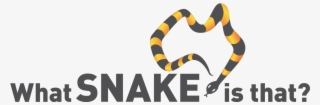 This Website Lists Thousands Of Snakes - Orchards Academy