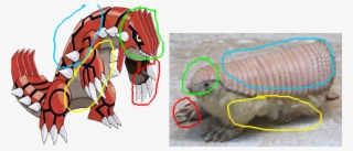 Groudon Is An Armadillo - Pokemon Groudon