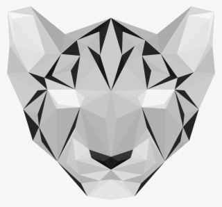Snow Leopard Geometric - Diamond