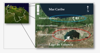 Ubicación De La Región Tacarigüense En El Contexto - Petroglífos De Inagoanagoa