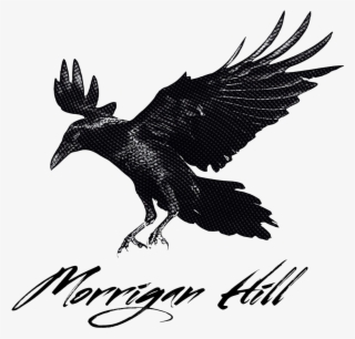 Crow Landing