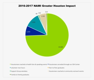 Nami Greater Houston Impact - Diagram