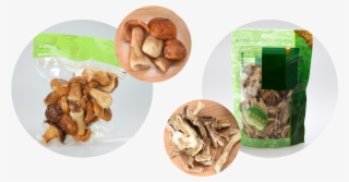 Besides Fresh, Porcini May Be Traded As Canned, Frozen - Walnut