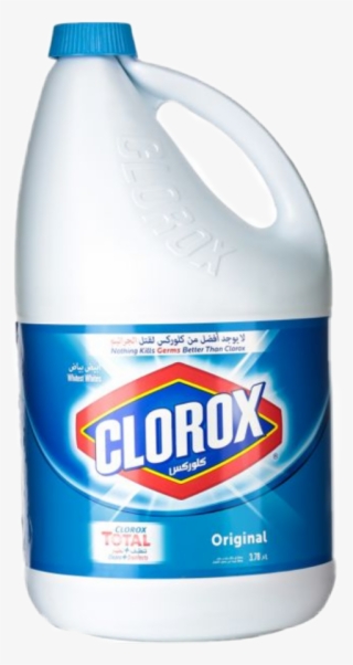 Clorox 3.78 Ltr