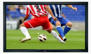 Portable Cameras With Monitor