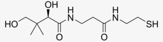 Pantetheine Structure - Betaine Hydrochloride