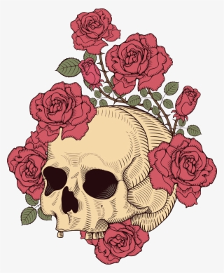 And Skull Rose Illustration T-shirt Design Human Clipart - Skull And Rose Illustration