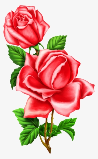Roses,pink,roze,rosa, - Imagenes De Rosas Para Sublimaciones