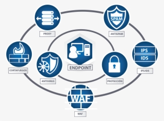 Usuario De La Web - Graphic Design