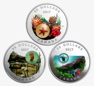 Pure Silver Coloured 3-coin Subscription Under The - Under The Sea Canadian Mint