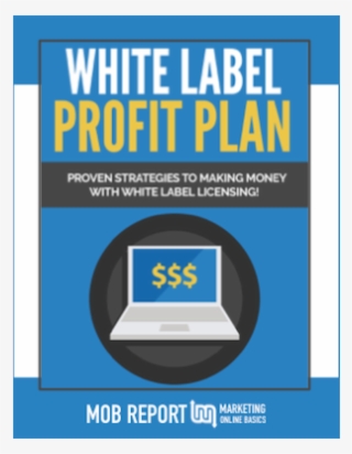 Mob Report - Plaza Sesamo