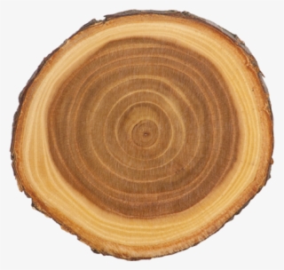 Old West Log Elmwood - Elmwood Log