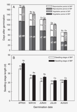 Effects Of Germination Date And Seed Type On Length - Diagram