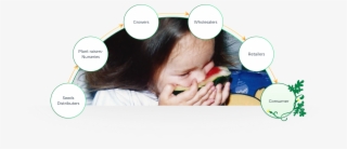 Origene Seeds Lead To A Significant Contribution For - Cartoon