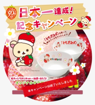 日本一達成！記念キャンペーン - Rilakkuma