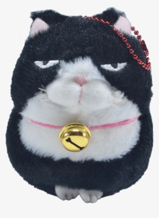 Momoiro Market - Exotic Shorthair