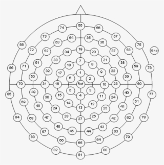 Equidistant 88 Channel Arrangement - 10 20 System Eeg 64