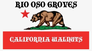 Splash Logo - California Don T Tread On Me Flag