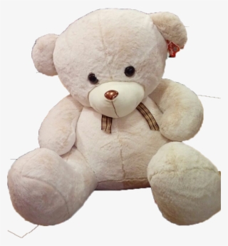 Oso De Peluche Grande Nariz Dorada - Teddy Bear