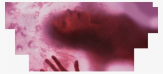 The Blob - Blob 1988