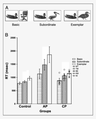 Examples Of Stimuli From Object Experiment - Diagram