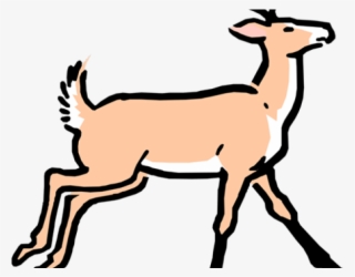 Deer Buck Cartoon