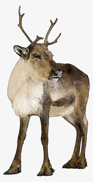 Caribou Clipart - Pink Reindeer