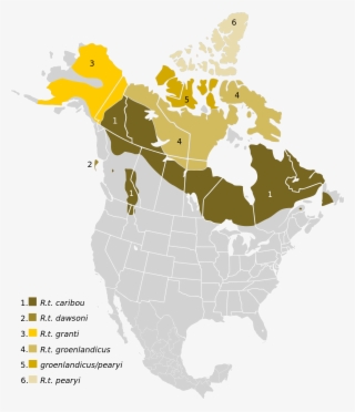 Caribou Range North America