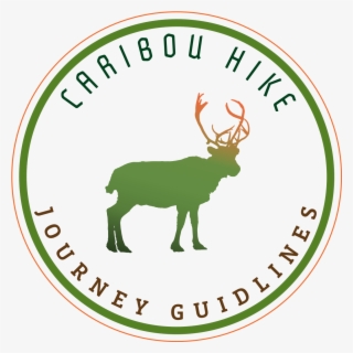 About - Pre Delivery Inspection Logo