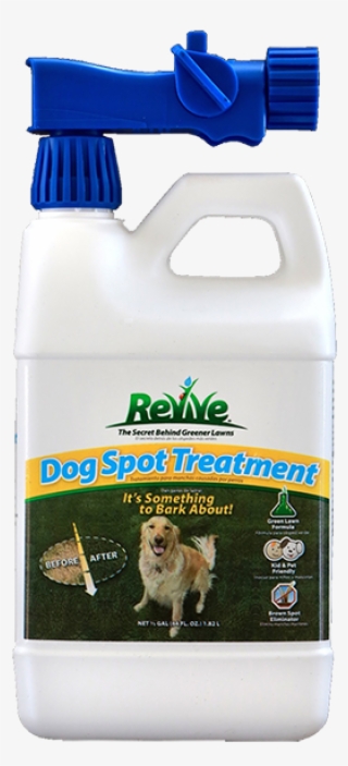 Revive Dog Spot Treatment's Proprietary Formula Works - Cardigan Welsh Corgi