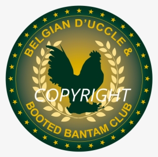 Picture - Circle