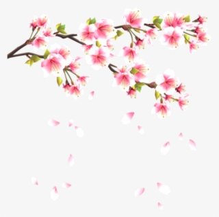 Flower Flowerpentals Pentals Pental Falling Pink - Japanese Cherry Blossom Png