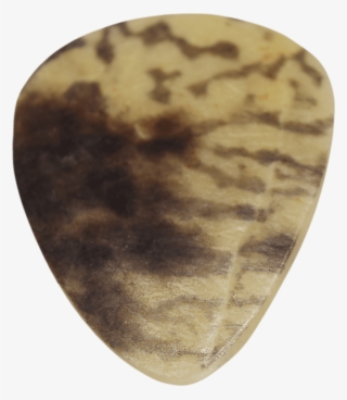 Real Turtle Shell Guitar Pick Tortoise Shell Guitar - Percussion