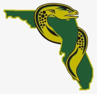 Florida Eels Announce The Signing Of Six Additional - Florida Eels Logo