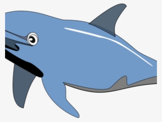 Dolphin Clip Art
