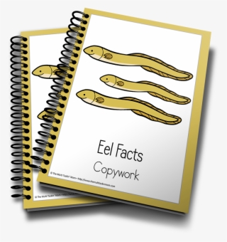 Eel Color And Copywork - Minecraft Stationery