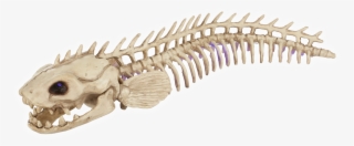 Electric Eel - Ankylosaurus